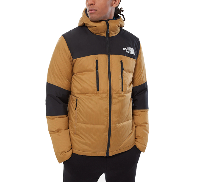 the north face himalayan light down hoodie