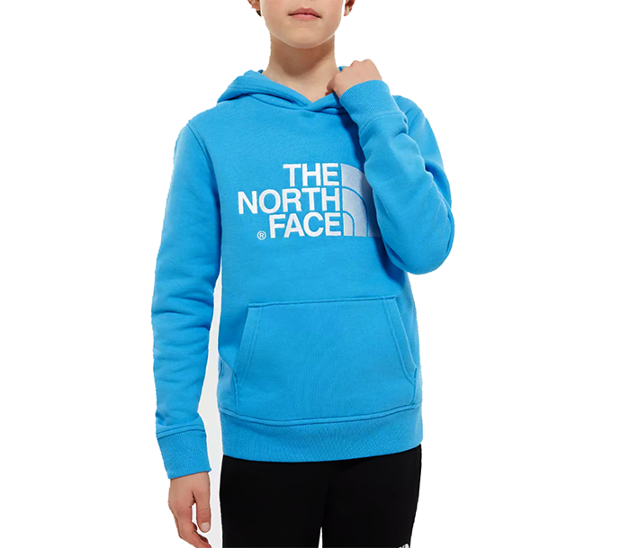 the north face children's youth drew peak hoodie