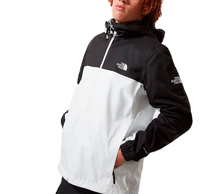 mountain q north face