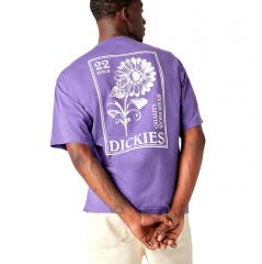 Dickies Garden Plain T-Shirt Imperial Palace