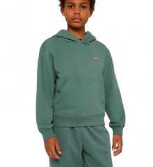 Dickies Youth Oakport Hoodie Dark Forest