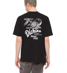 Dickies Raven T-Shirt Black