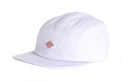 Dickies Albertville Baseball Cap Cosmic Sky