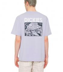 Dickies Patrick Springs T-Shirt Cosmic Sky
