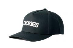 Dickies Torrey Snapback Cap Black