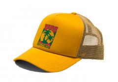 Vans Munson Curved Bill Trucker Narcissus