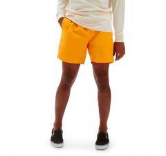 Vans Primary Volley II Boardshorts Saffron