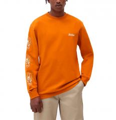 Dickies Bettles Long Sleeve T-Shirt Pumpkin Spice