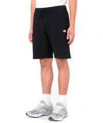 Dickies Mapleton Shorts Black