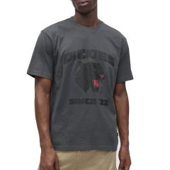 Dickies McDermitt Midweight T-Shirt Charcoal