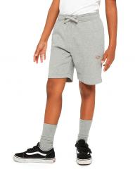 Dickies Youth Mapleton Shorts Heather Grey