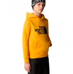 The North Face Youth Drew Peak Hoodie Summit Gold