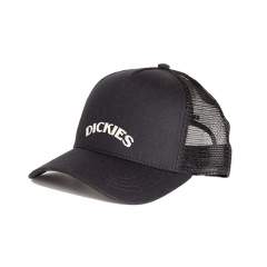 Dickies Shawsville Trucker Cap Black
