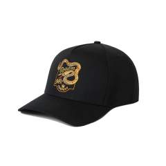 Brixton Rothwell Netplus Snapback Hat Black
